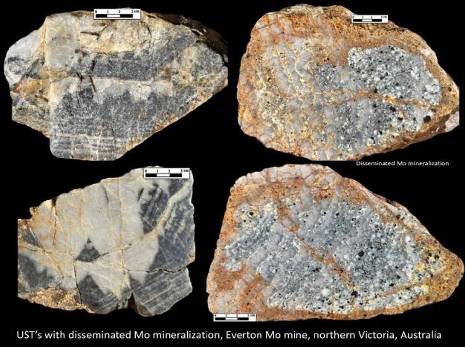 Screenshot 2026-03-28 at 1.51.07 PM