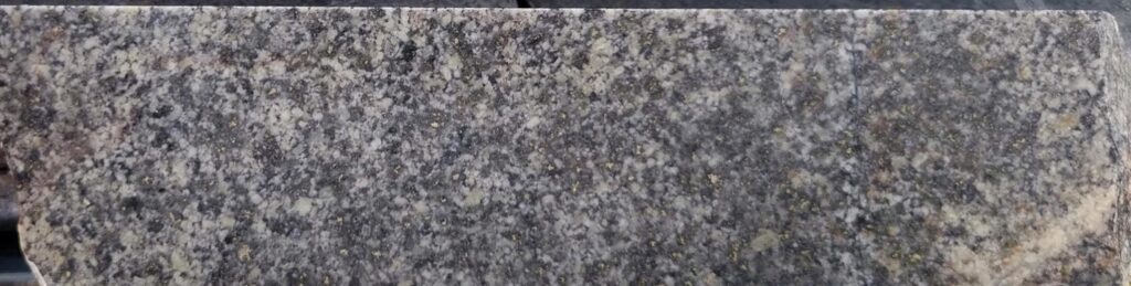 GGDD004_116.85-162m_crowded_porphyry