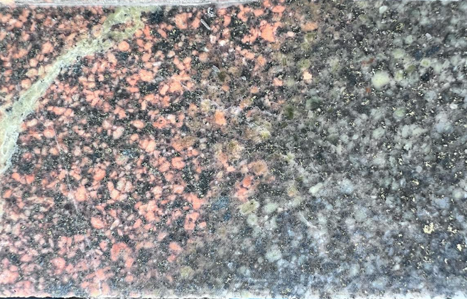 GGDD004_monzonite_porphyry